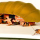 Illustration for article titled Scientists Created a Badass Robotic Roach to Explore Rubble After a Disaster